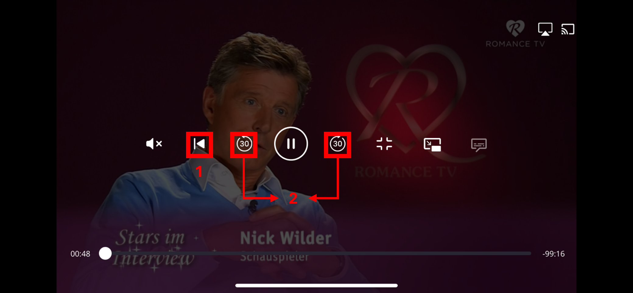 Smartphone Mini-Controls.png